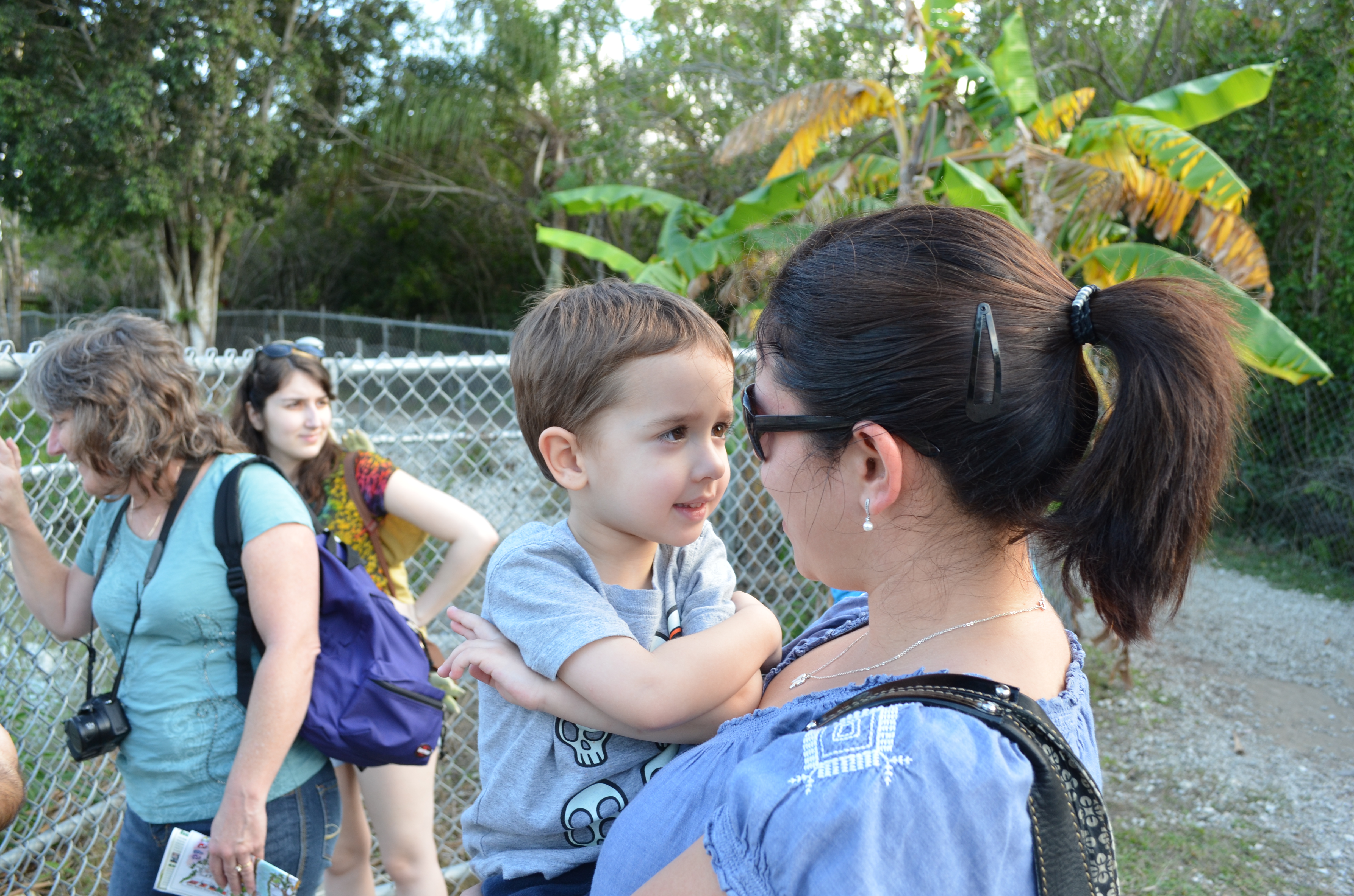 ./2012/Christmas/Aligator Farm/DSC_1025.JPG